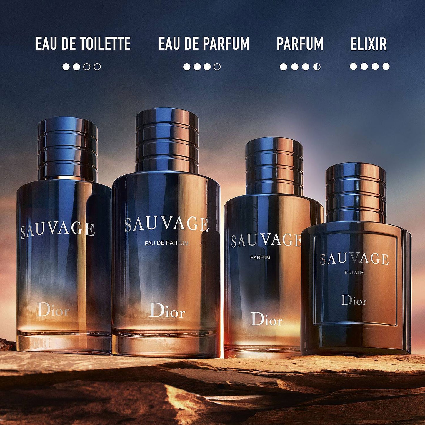 DIOR SAUVAGE FOR MEN EDP 100ML - The Style Hub
