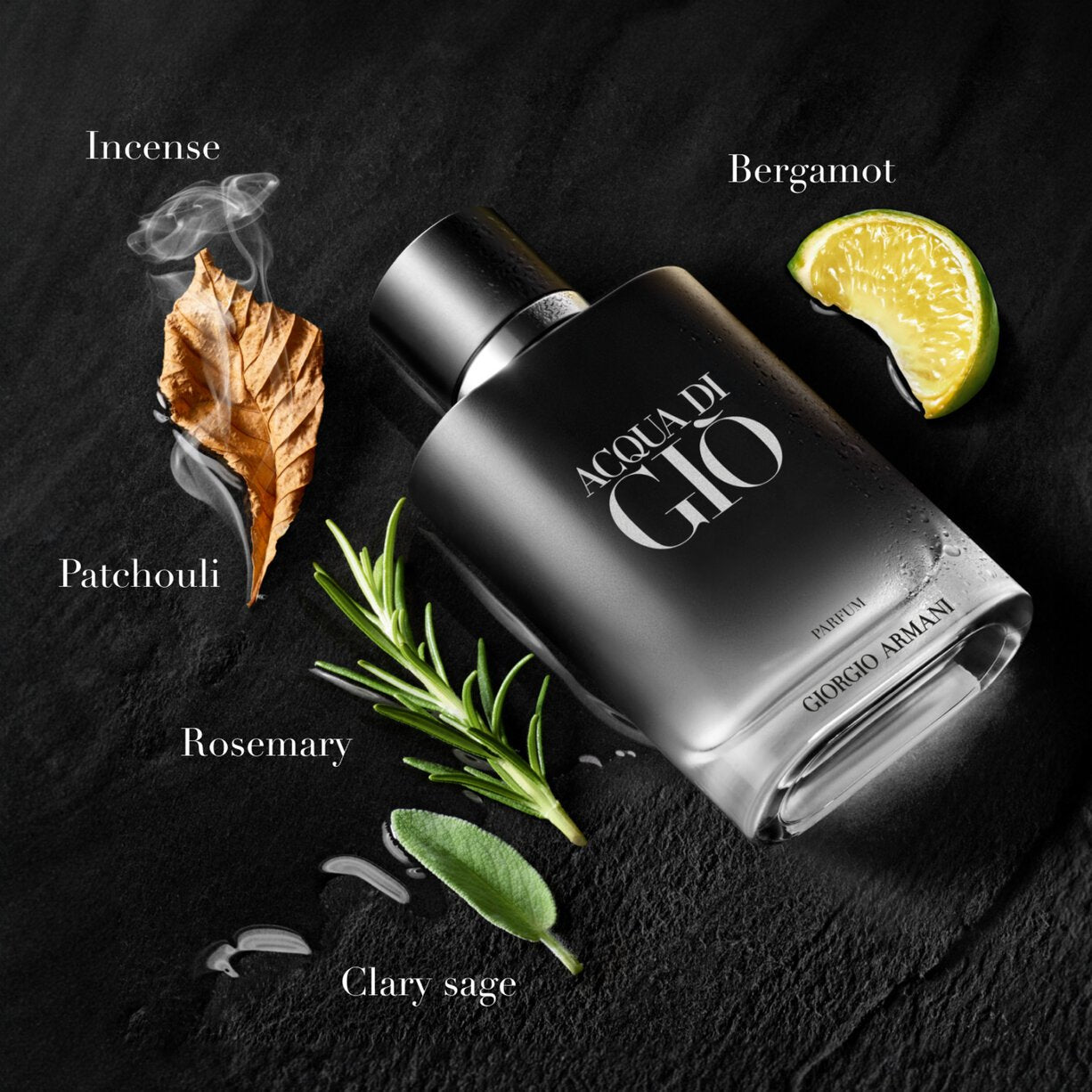 Giorgio Armani Acqua Di Gio Parfum For Men 100ml