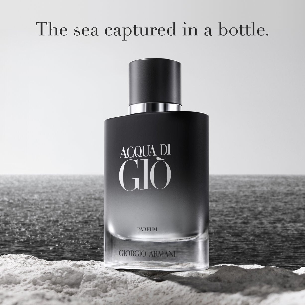 Giorgio Armani Acqua Di Gio Parfum For Men 100ml