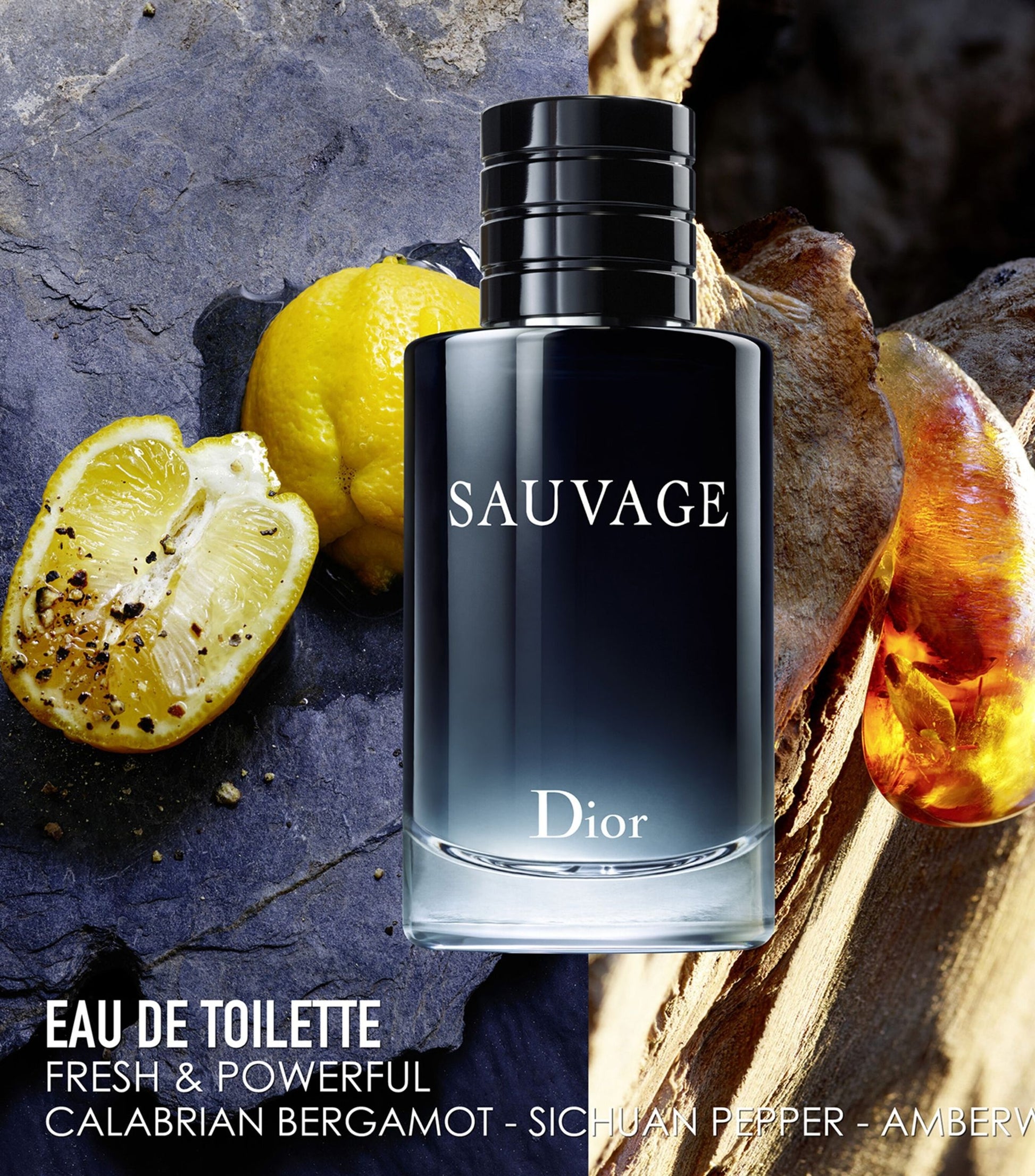 DIOR SAUVAGE FOR MEN EDP 100ML - The Style Hub